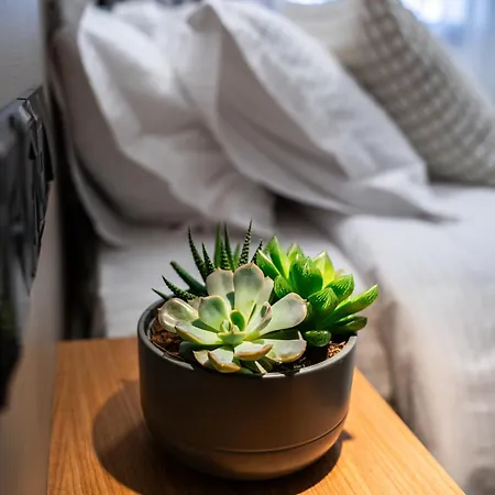 Siliana Cozy *